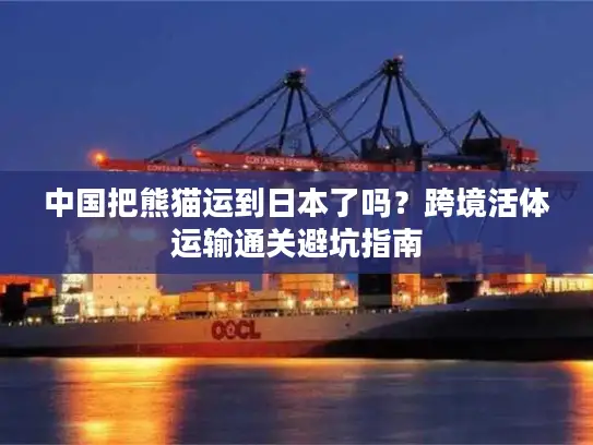 中国把熊猫运到日本了吗？跨境活体运输通关避坑指南