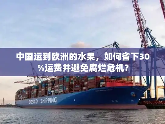中国运到欧洲的水果，如何省下30%运费并避免腐烂危机？