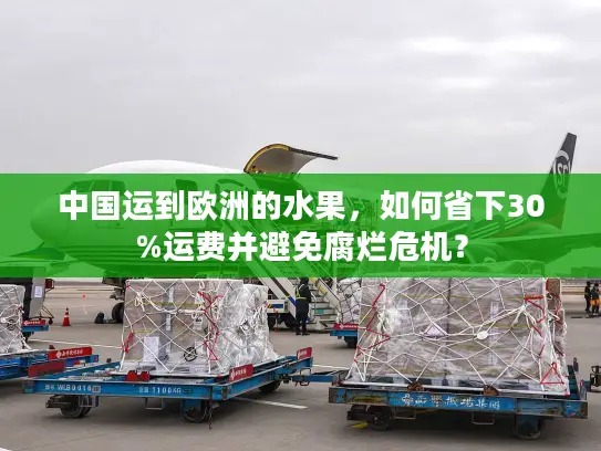 中国运到欧洲的水果，如何省下30%运费并避免腐烂危机？