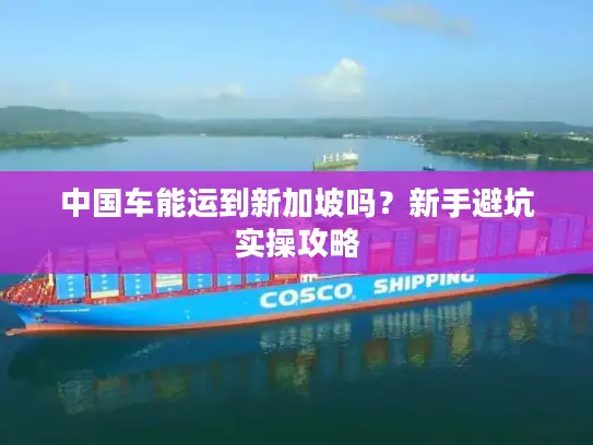 中国车能运到新加坡吗？新手避坑实操攻略