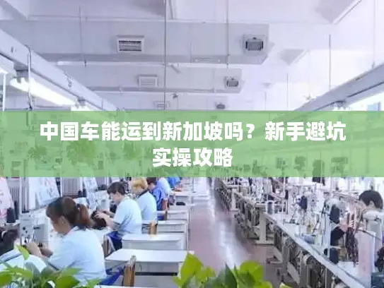 中国车能运到新加坡吗？新手避坑实操攻略