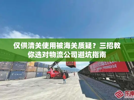 仅供清关使用被海关质疑？三招教你选对物流公司避坑指南