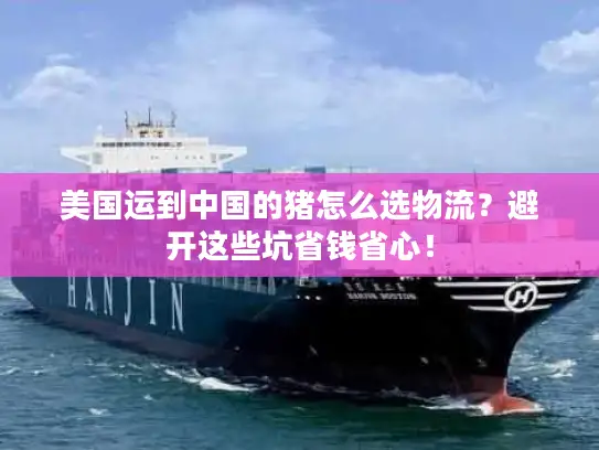 美国运到中国的猪怎么选物流？避开这些坑省钱省心！