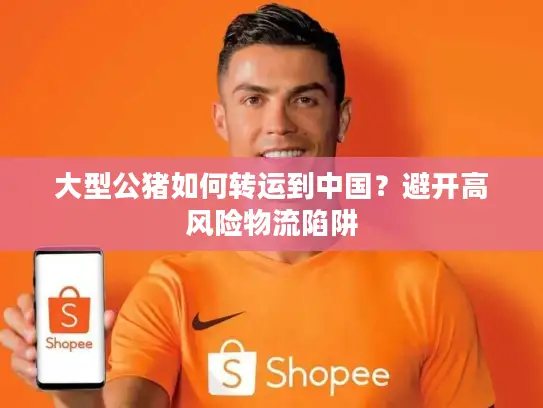 大型公猪如何转运到中国？避开高风险物流陷阱