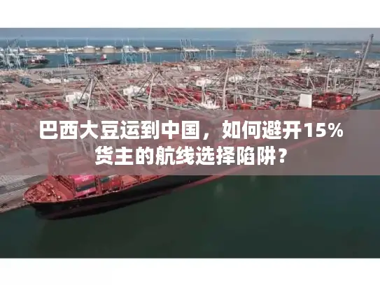 巴西大豆运到中国，如何避开15%货主的航线选择陷阱？