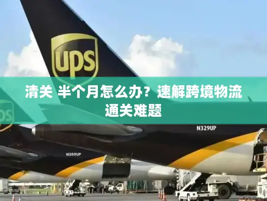 清关 半个月怎么办？速解跨境物流通关难题