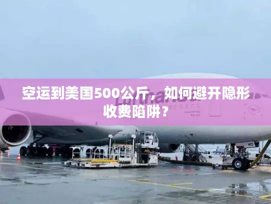 空运到美国500公斤，如何避开隐形收费陷阱？