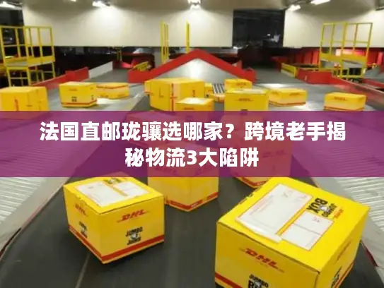 法国直邮珑骧选哪家？跨境老手揭秘物流3大陷阱