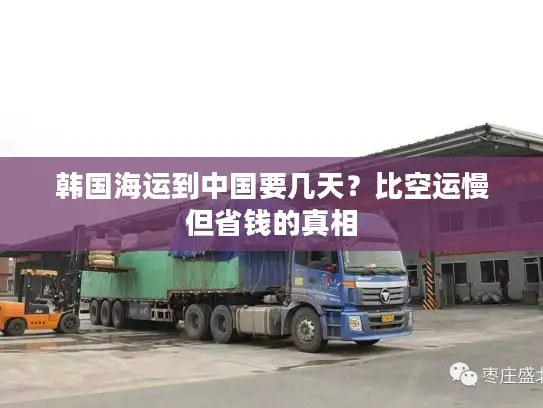 韩国海运到中国要几天？比空运慢但省钱的真相
