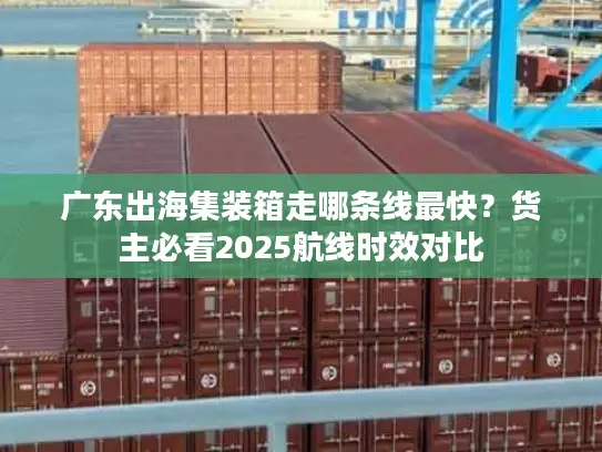 广东出海集装箱走哪条线最快？货主必看2025航线时效对比