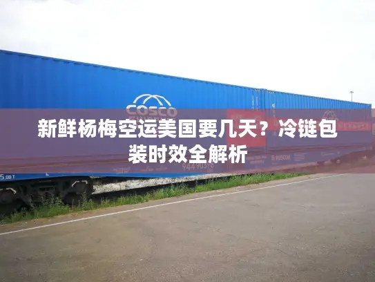 新鲜杨梅空运美国要几天？冷链包装时效全解析