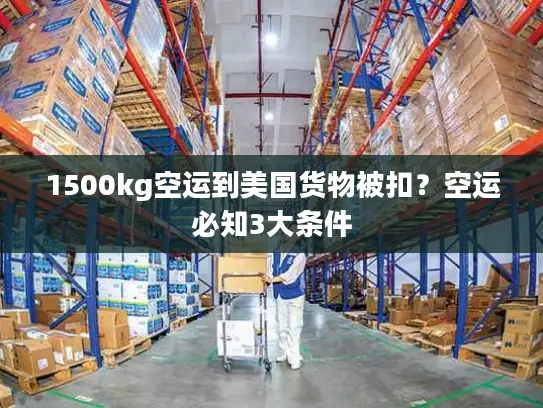 1500kg空运到美国货物被扣?空运必知3大条件 1500kg空运到美国货物被扣?空运必知3大条件