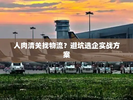 人肉清关找物流？避坑选企实战方案