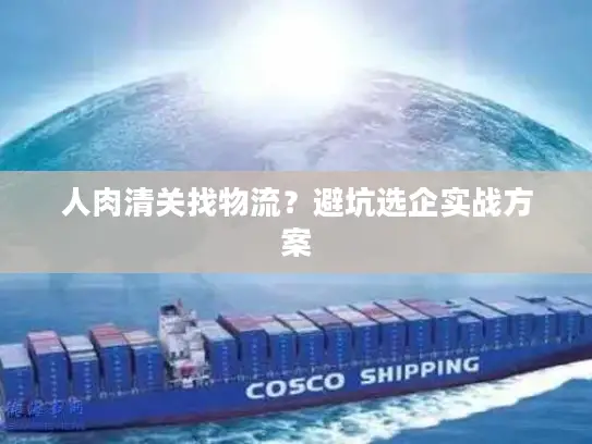 人肉清关找物流？避坑选企实战方案
