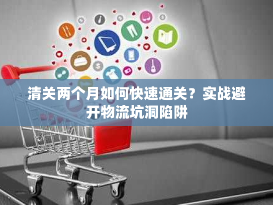 清关两个月如何快速通关？实战避开物流坑洞陷阱