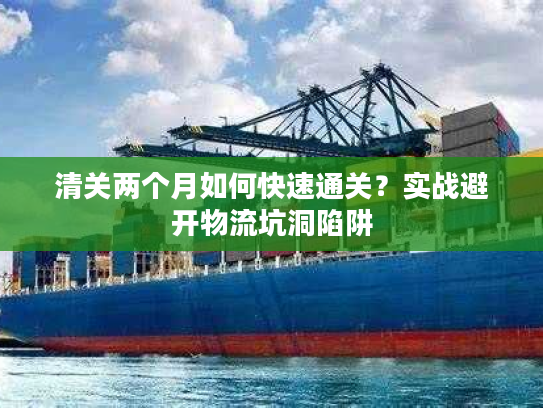 清关两个月如何快速通关？实战避开物流坑洞陷阱