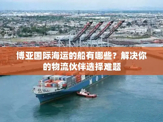博亚国际海运的船有哪些？解决你的物流伙伴选择难题