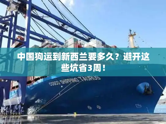 中国狗运到新西兰要多久？避开这些坑省3周！