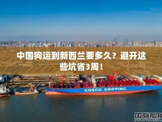 中国狗运到新西兰要多久？避开这些坑省3周！