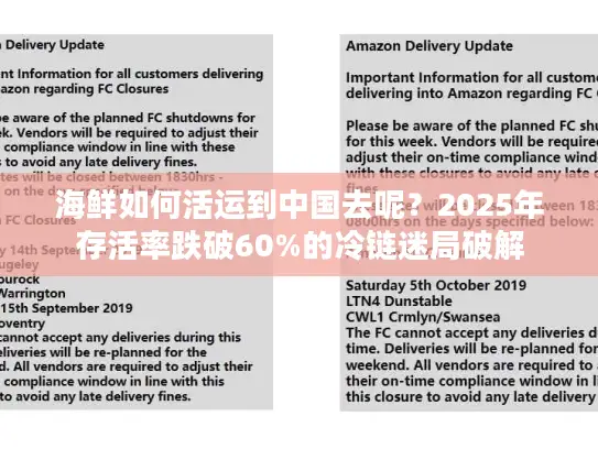 海鲜如何活运到中国去呢？2025年存活率跌破60%的冷链迷局破解