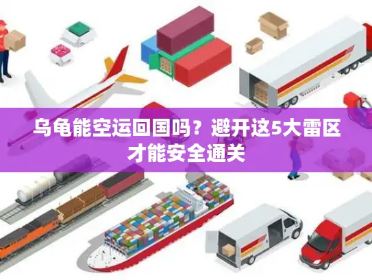 乌龟能空运回国吗？避开这5大雷区才能安全通关