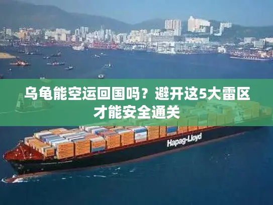 乌龟能空运回国吗？避开这5大雷区才能安全通关