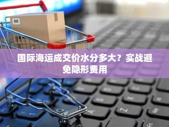 国际海运成交价水分多大？实战避免隐形费用