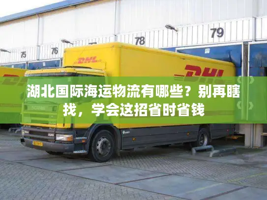 湖北国际海运物流有哪些？别再瞎找，学会这招省时省钱