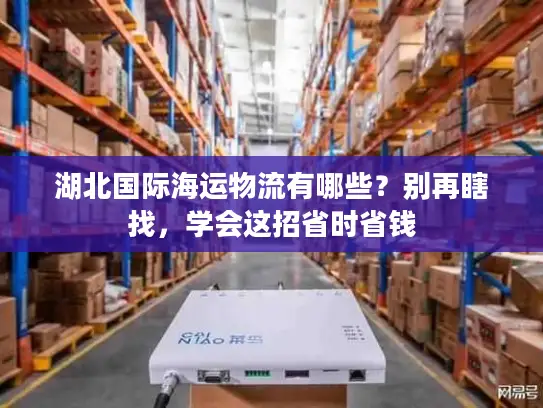 湖北国际海运物流有哪些？别再瞎找，学会这招省时省钱