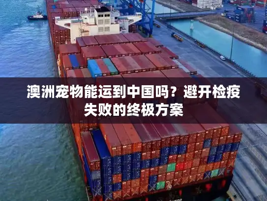 澳洲宠物能运到中国吗？避开检疫失败的终极方案