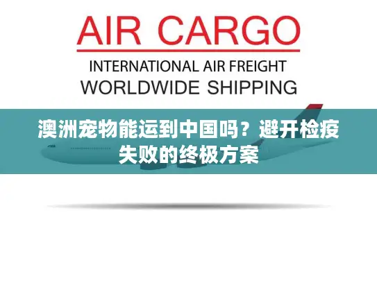 澳洲宠物能运到中国吗？避开检疫失败的终极方案