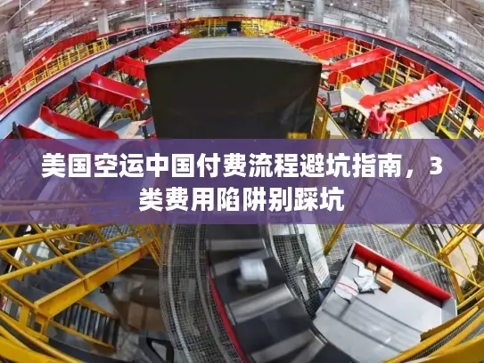 美国空运中国付费流程避坑指南，3类费用陷阱别踩坑