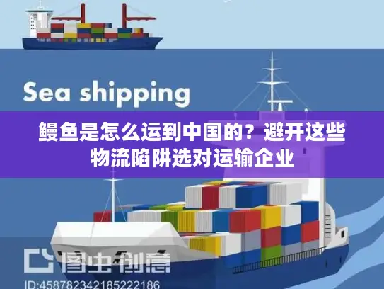 鳗鱼是怎么运到中国的？避开这些物流陷阱选对运输企业