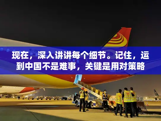 现在，深入讲讲每个细节。记住，运到中国不是难事，关键是用对策略