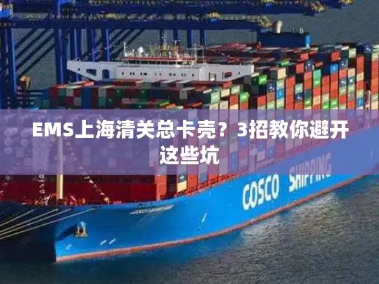 EMS上海清关总卡壳？3招教你避开这些坑