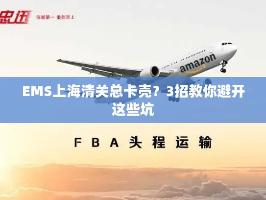 EMS上海清关总卡壳？3招教你避开这些坑
