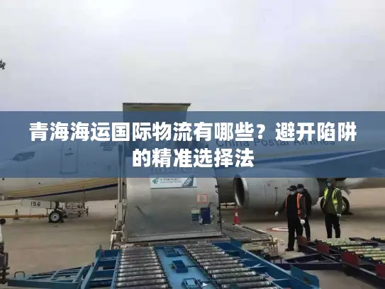 青海海运国际物流有哪些？避开陷阱的精准选择法