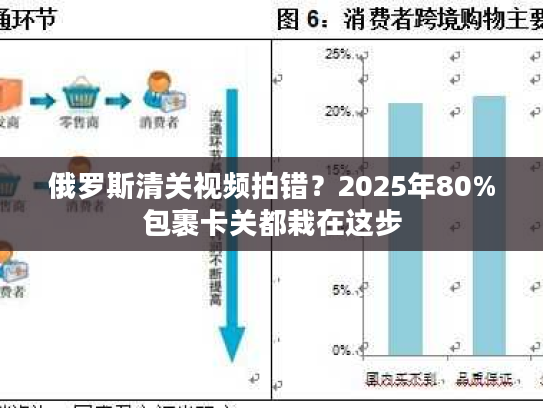 俄罗斯清关视频拍错?2025年80%包裹卡关都栽在这步 俄罗斯清关视频拍错?2025年80%包裹卡关都栽在这步