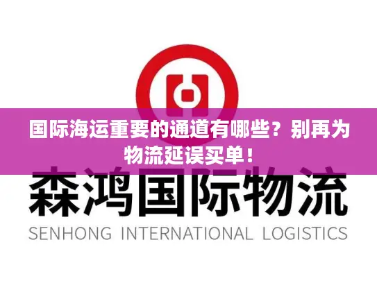 国际海运重要的通道有哪些？别再为物流延误买单！