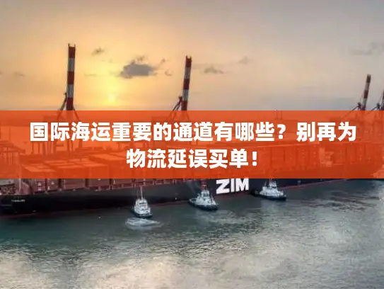 国际海运重要的通道有哪些？别再为物流延误买单！
