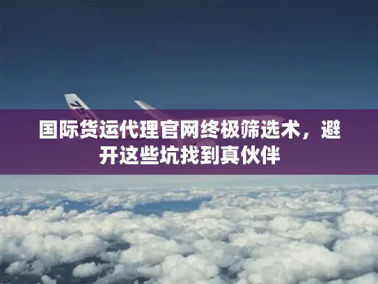 国际货运代理官网终极筛选术，避开这些坑找到真伙伴