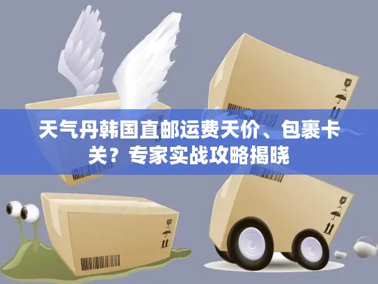 天气丹韩国直邮运费天价、包裹卡关？专家实战攻略揭晓