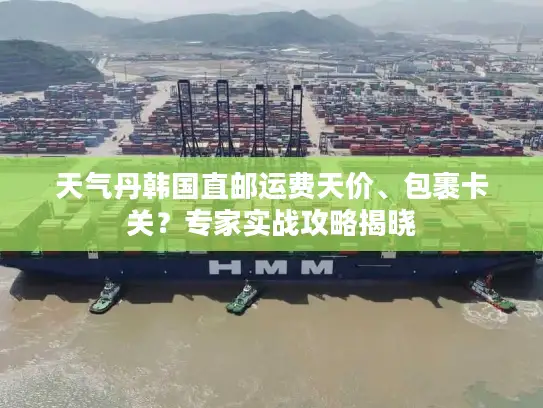 天气丹韩国直邮运费天价、包裹卡关？专家实战攻略揭晓