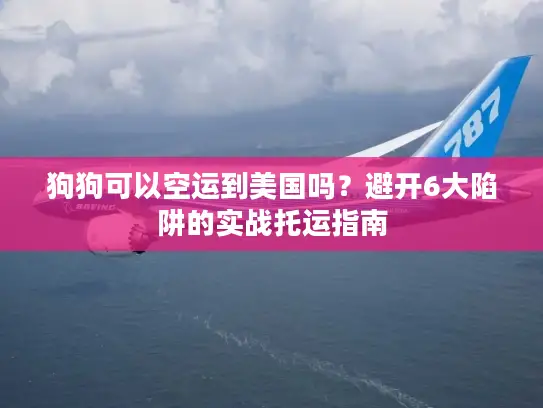 狗狗可以空运到美国吗？避开6大陷阱的实战托运指南