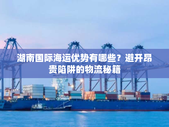 湖南国际海运优势有哪些？避开昂贵陷阱的物流秘籍