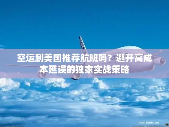 空运到美国推荐航班吗？避开高成本延误的独家实战策略