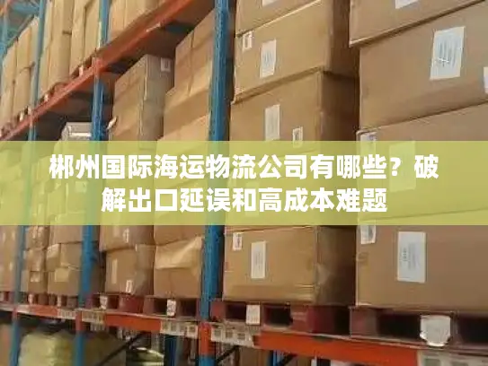 郴州国际海运物流公司有哪些？破解出口延误和高成本难题
