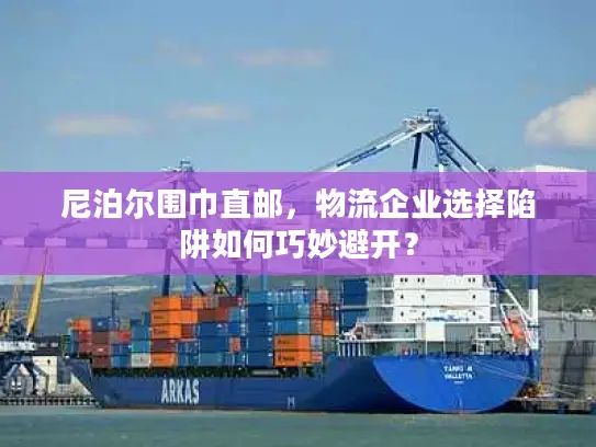 尼泊尔围巾直邮，物流企业选择陷阱如何巧妙避开？