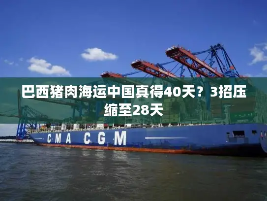 巴西猪肉海运中国真得40天?3招压缩至28天 巴西猪肉海运中国真得40天?3招压缩至28天
