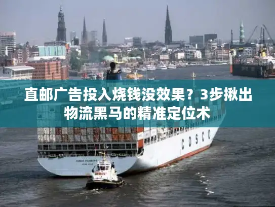 直邮广告投入烧钱没效果？3步揪出物流黑马的精准定位术